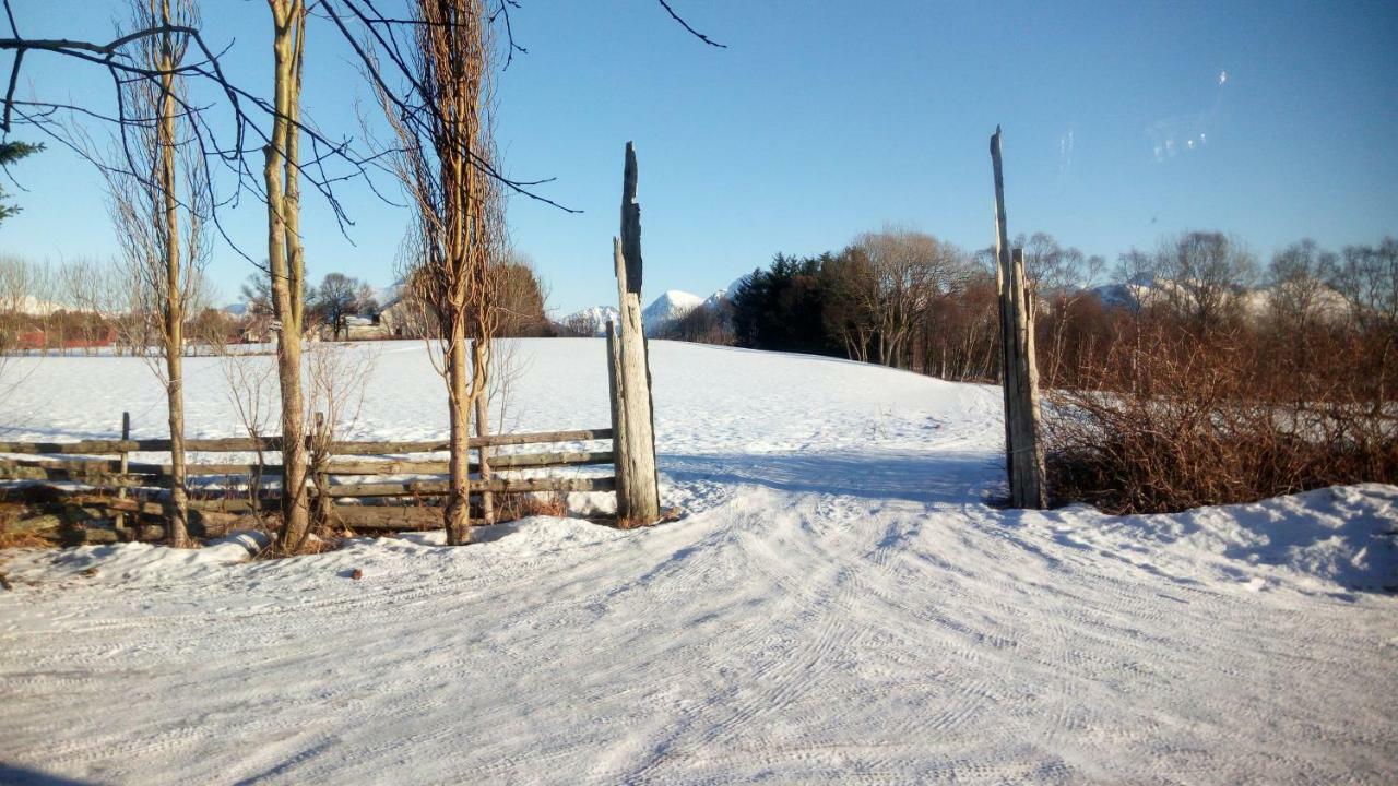 Art Studio Sortland Exterior foto